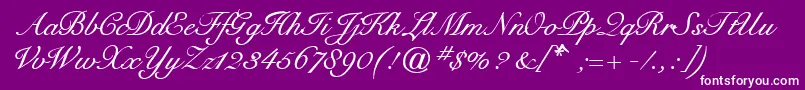 StavangerRegular Font – White Fonts on Purple Background