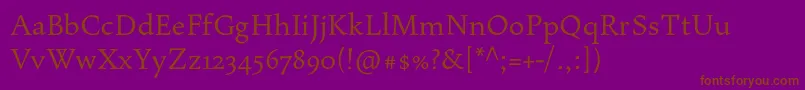 Maiolapro Font – Brown Fonts on Purple Background