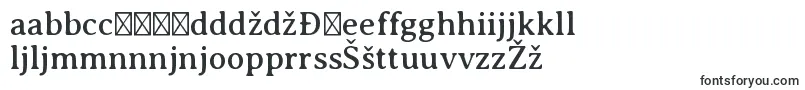AveriaseriflibreRegular-fontti – bosnialaiset fontit