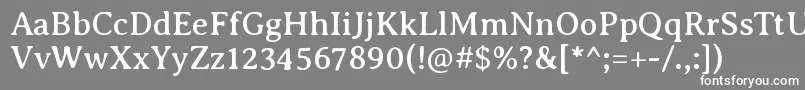 Шрифт AveriaseriflibreRegular – белые шрифты на сером фоне