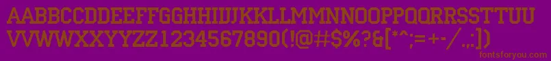 ACampusrg Font – Brown Fonts on Purple Background