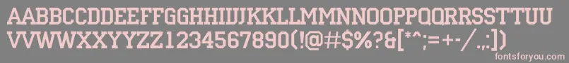 ACampusrg Font – Pink Fonts on Gray Background