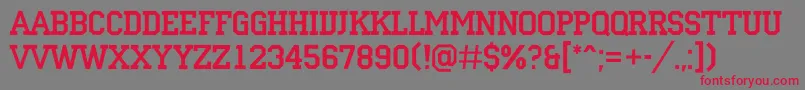 ACampusrg Font – Red Fonts on Gray Background