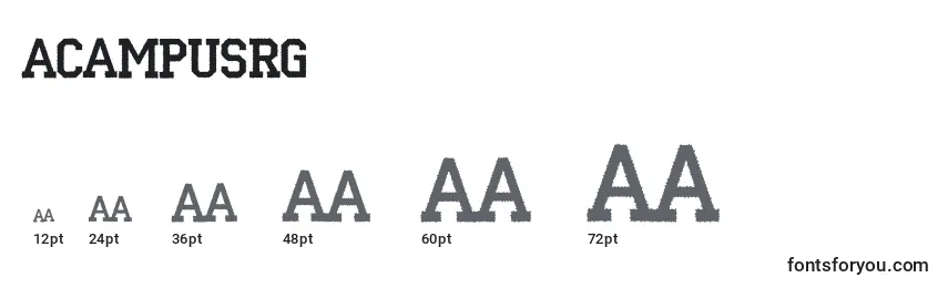 Размеры шрифта ACampusrg