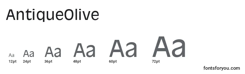 AntiqueOlive Font Sizes