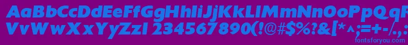 IdiomsskBoldItalic Font – Blue Fonts on Purple Background