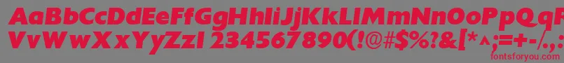 IdiomsskBoldItalic-Schriftart – Rote Schriften auf grauem Hintergrund
