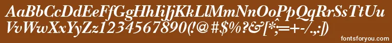 BaskervillenovatwoBolditalic Font – White Fonts on Brown Background