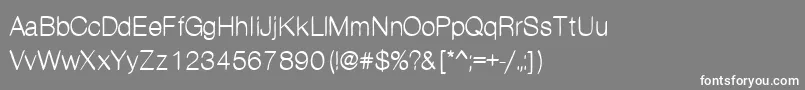 Kanon Font – White Fonts on Gray Background