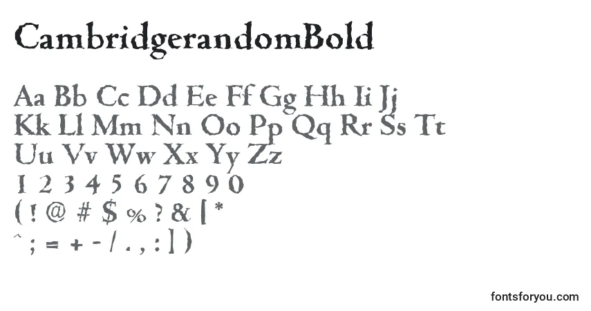 Czcionka CambridgerandomBold – alfabet, cyfry, specjalne znaki