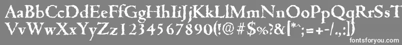 CambridgerandomBold Font – White Fonts on Gray Background