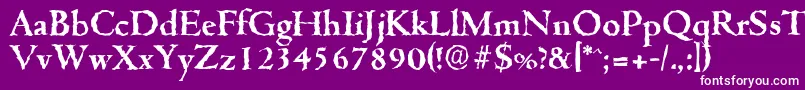 CambridgerandomBold-Schriftart – Weiße Schriften auf violettem Hintergrund