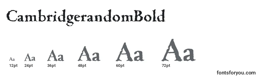 Размеры шрифта CambridgerandomBold