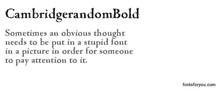 Review of the CambridgerandomBold Font