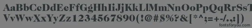 ItcCaslon224LtBlack Font – Black Fonts on Gray Background