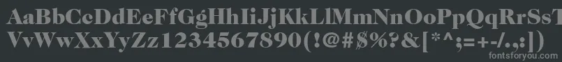 ItcCaslon224LtBlack Font – Gray Fonts on Black Background