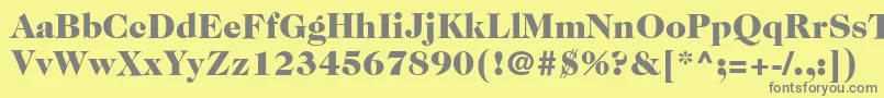 ItcCaslon224LtBlack Font – Gray Fonts on Yellow Background