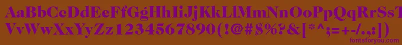 ItcCaslon224LtBlack Font – Purple Fonts on Brown Background