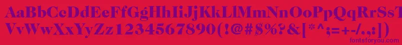 ItcCaslon224LtBlack Font – Purple Fonts on Red Background