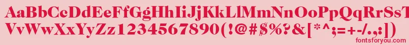 ItcCaslon224LtBlack Font – Red Fonts on Pink Background