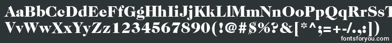 フォントItcCaslon224LtBlack – 白い文字