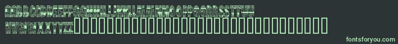BrinetextPattern Font – Green Fonts on Black Background