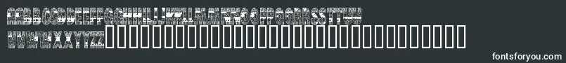 BrinetextPattern Font – White Fonts on Black Background