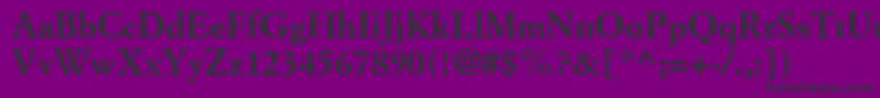 SimoncinigaramondstdBold Font – Black Fonts on Purple Background