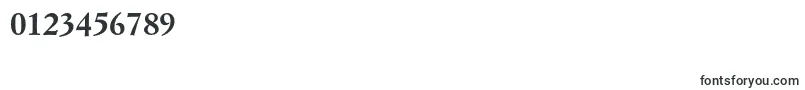 SimoncinigaramondstdBold Font – Fonts for Numbers and Digits