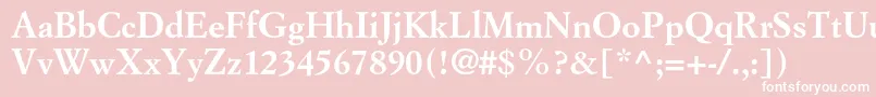 SimoncinigaramondstdBold Font – White Fonts on Pink Background