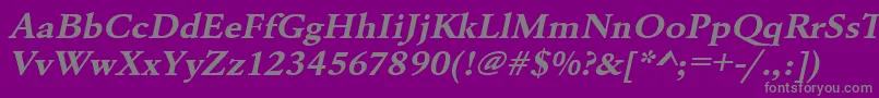 UrwgaramondtextwidBoldOblique Font – Gray Fonts on Purple Background