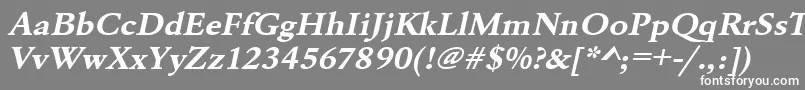 フォントUrwgaramondtextwidBoldOblique – 灰色の背景に白い文字