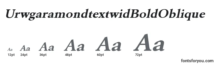 Размеры шрифта UrwgaramondtextwidBoldOblique