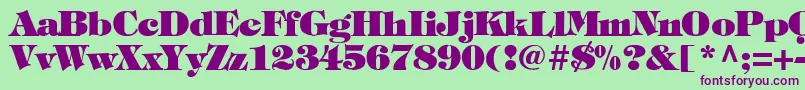 TimpaniHeavyNormal Font – Purple Fonts on Green Background