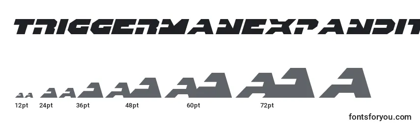 Triggermanexpandital Font Sizes