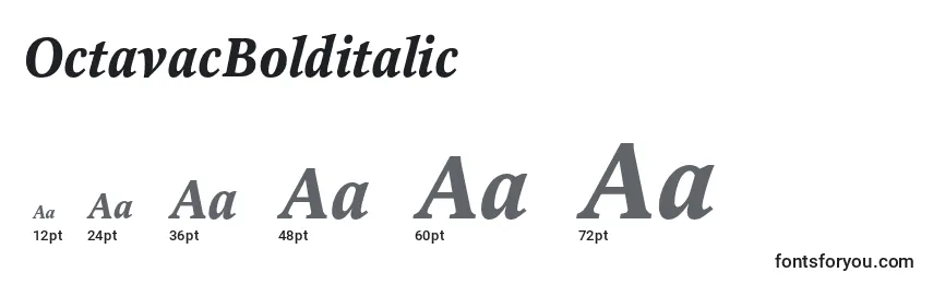 OctavacBolditalic Font Sizes