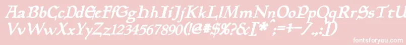 PlanewalkerBoldItalic Font – White Fonts on Pink Background