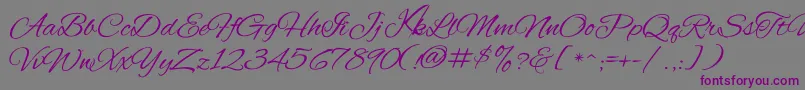フォントKavayConfident – 紫色のフォント、灰色の背景