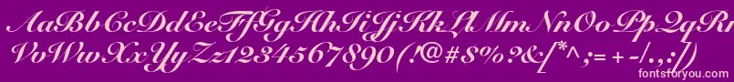 SnellroundhandltstdBlkscr Font – Pink Fonts on Purple Background