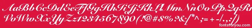 SnellroundhandltstdBlkscr Font – White Fonts on Red Background