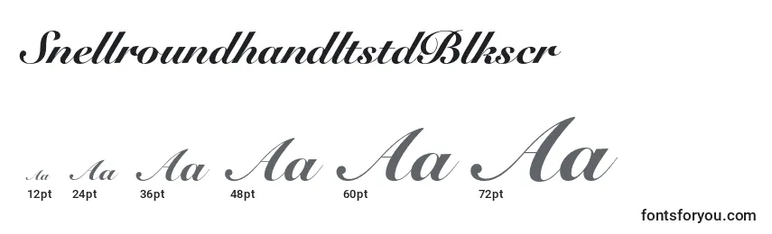 SnellroundhandltstdBlkscr Font Sizes
