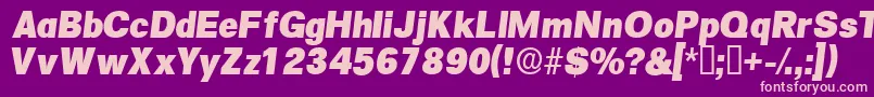 SalinadisplaysskItalic Font – Pink Fonts on Purple Background