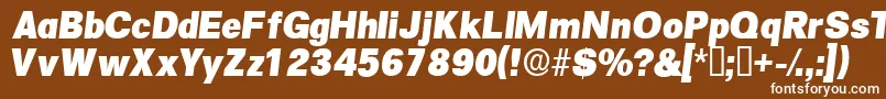 フォントSalinadisplaysskItalic – 茶色の背景に白い文字
