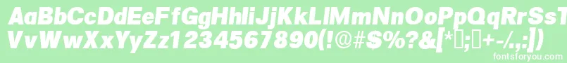 SalinadisplaysskItalic Font – White Fonts on Green Background