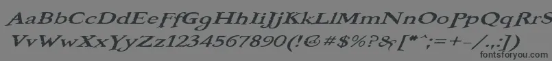 BooterOneOne Font – Black Fonts on Gray Background