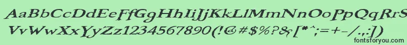 BooterOneOne Font – Black Fonts on Green Background