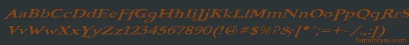 BooterOneOne Font – Brown Fonts on Black Background
