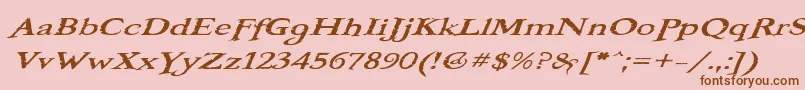 BooterOneOne Font – Brown Fonts on Pink Background