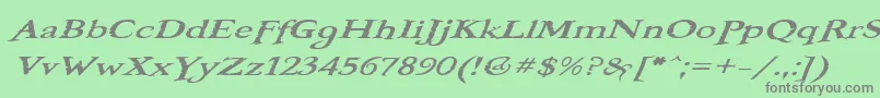 BooterOneOne Font – Gray Fonts on Green Background