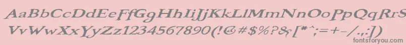 BooterOneOne Font – Gray Fonts on Pink Background